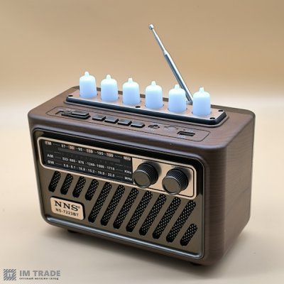 Портативна колонка  NNS NS-7223BT Bluetooth, USB, SD 