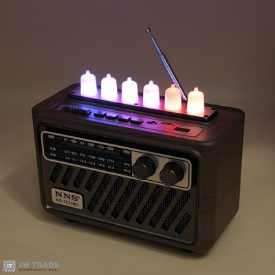 Портативна колонка  NNS NS-7223BT Bluetooth, USB, SD 