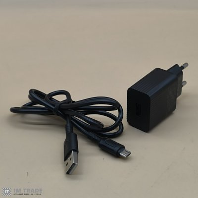СЗУ BOROFONE BAS71A + кабель Micro чорний