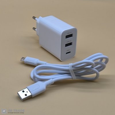 СЗУ BOROFONE BA105A Stellar + каб Micro USB білий