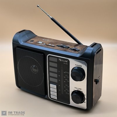 Портативна колонка  GOLON RX-333