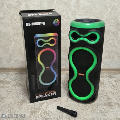 Портативна колонка  с USB+SD+Blutooth MS-2057BT-W з бездротовим мікрофоном 