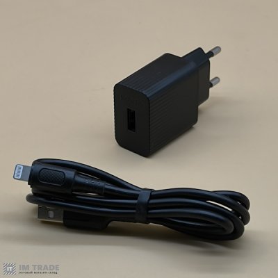 СЗУ BOROFONE BAS71A Source single-port charger чорний з кабелем iP