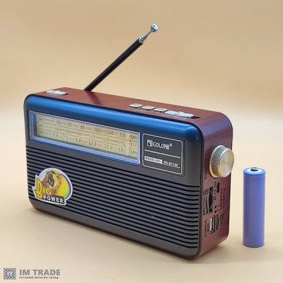 Портативна колонка  Golon RX-BT169 Bluetooth, USB, SD зі знімним АКБ