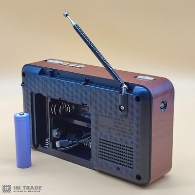 Портативна колонка  Golon RX-BT169 Bluetooth, USB, SD зі знімним АКБ