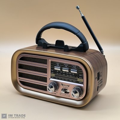 Портативна колонка  Golon RX-BT638 Bluetooth, USB, SD 