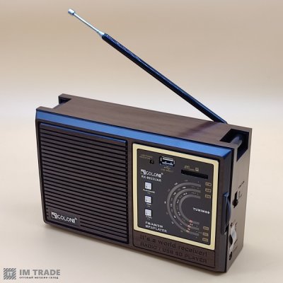 Портативна колонка  Golon RX-9933UAR
