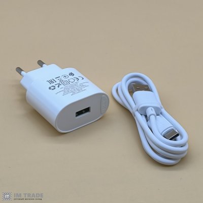 СЗУ Hoco C109A Fighter QC3.0 1USB + кабель Type-C